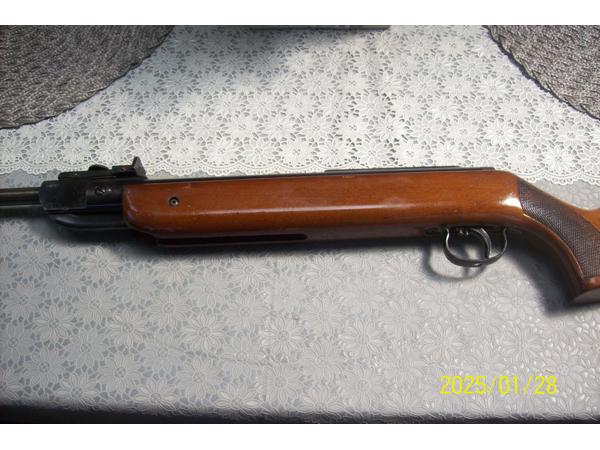 luchtbus diana  model 35